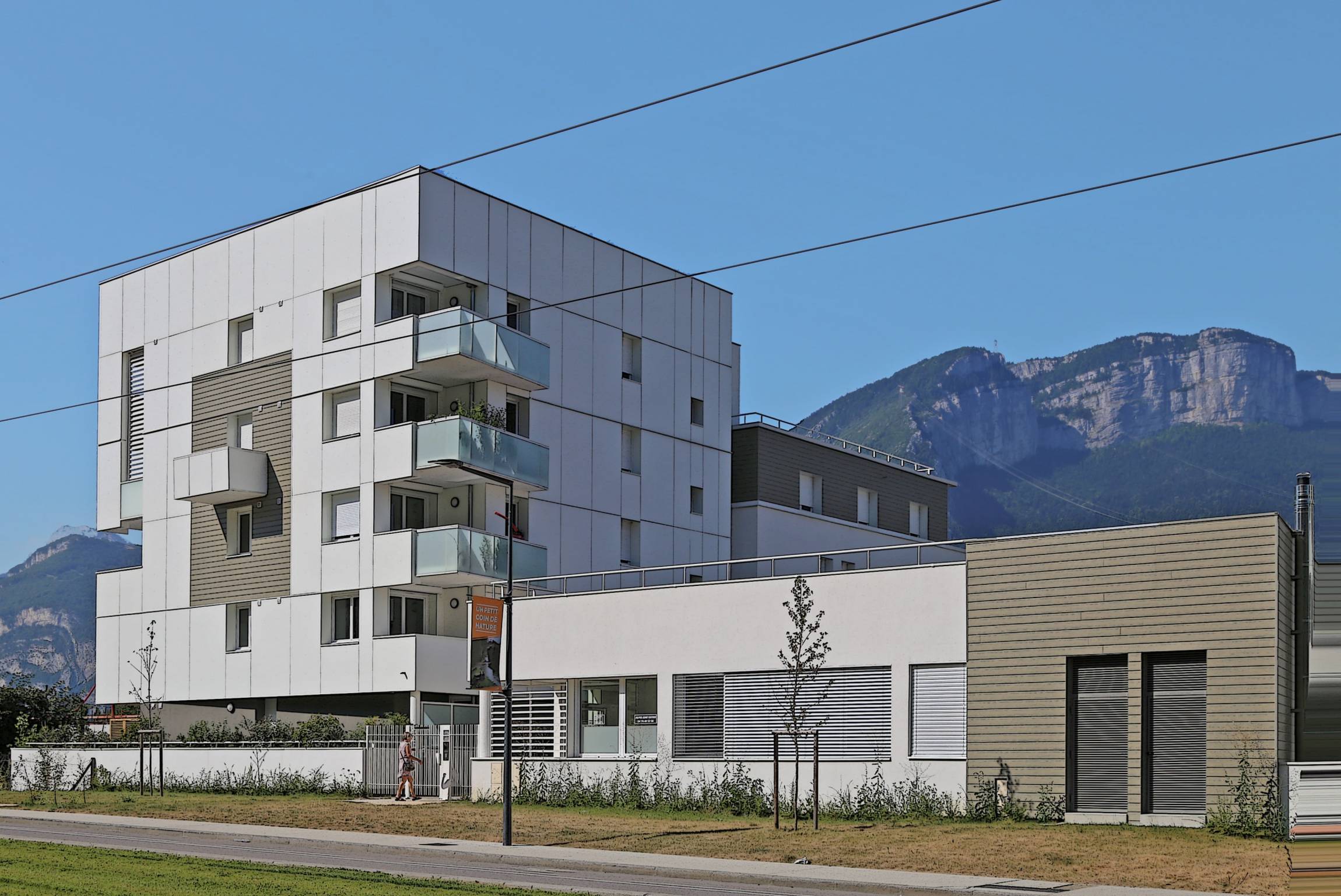 60117d6c10d0d_images_large