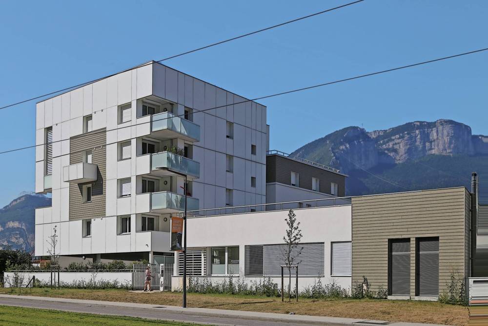 60117d6c10d0d_images_large