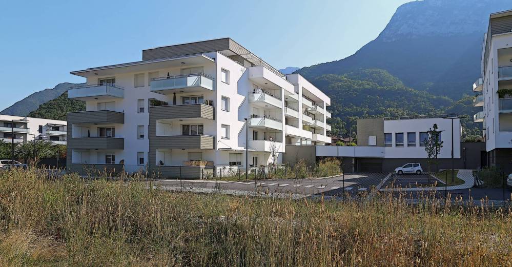 60117d78772e7_images_large