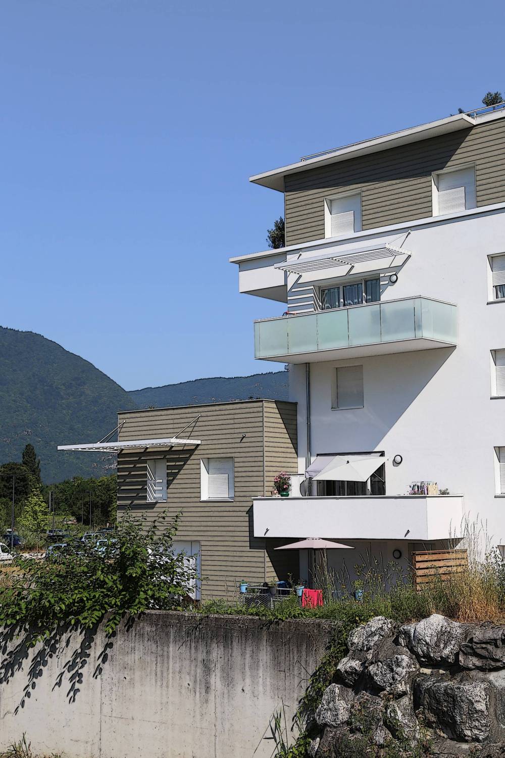 60117d7f7355c_images_large