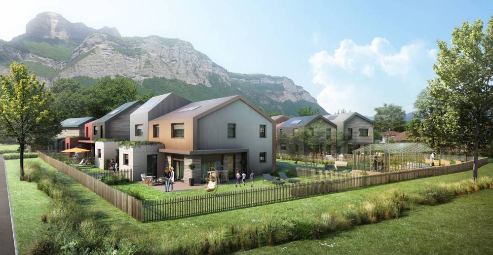 601180198ff91_images_large